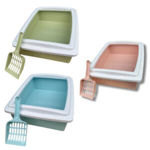 kitten tray with lid