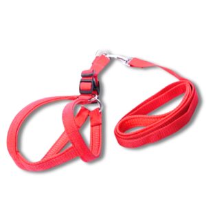 Foam Harness XS