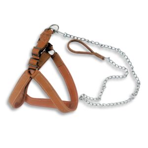 Leather Harness with Chain