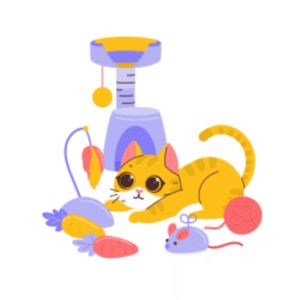 Cat Toys