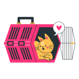 Cat Travelling