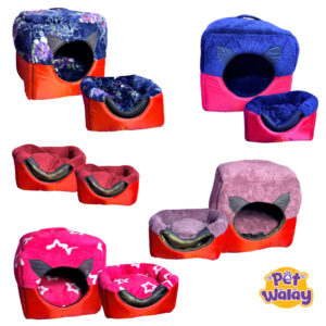 House cum bed (2in1)